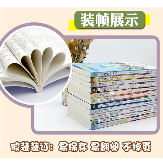 全套10册 六年级课外书必读经典正版上下册同步教材 花之歌狼牙山五壮士竹节人书宇宙生命之谜故宫博物院爸爸的计划有的人京剧趣谈 商品图2