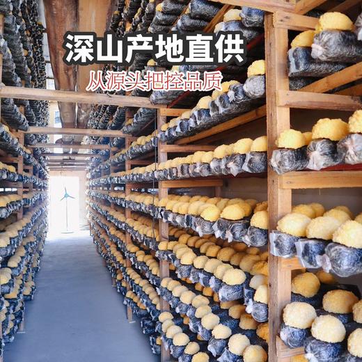 【古田丑耳】口感软糯 胶质软糯 花朵蜜实 高泡发率  商品图5