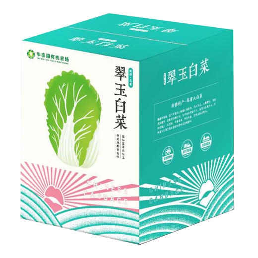 新疆半亩园有机翠玉白菜  新鲜蔬菜 无农残 有机认证 商品图4