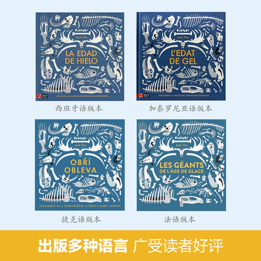乐乐趣科普新书-冰河时代非凡巨兽 商品图3