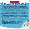 优倍高品质鲜牛奶236ml（20天） 商品缩略图5