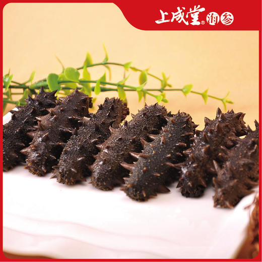 上成堂5年精品半干海参大连辽刺参500g/盒（30-35头） 商品图0