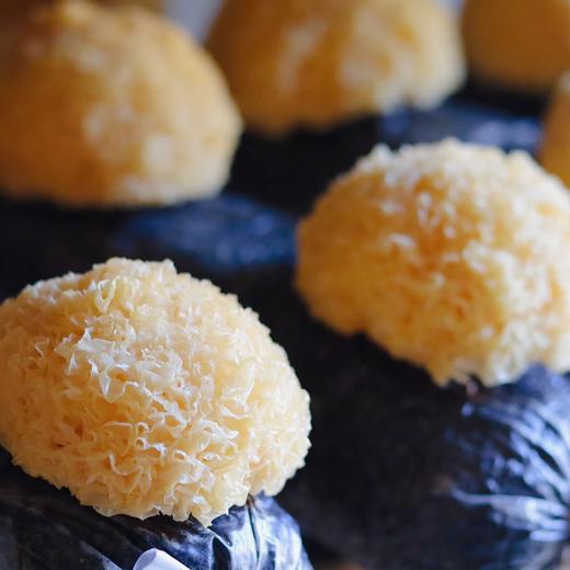 【古田丑耳】口感软糯 胶质软糯 花朵蜜实 高泡发率  商品图3