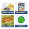 乐乐趣揭秘翻翻书系列第七辑 揭秘地球简史 商品缩略图5