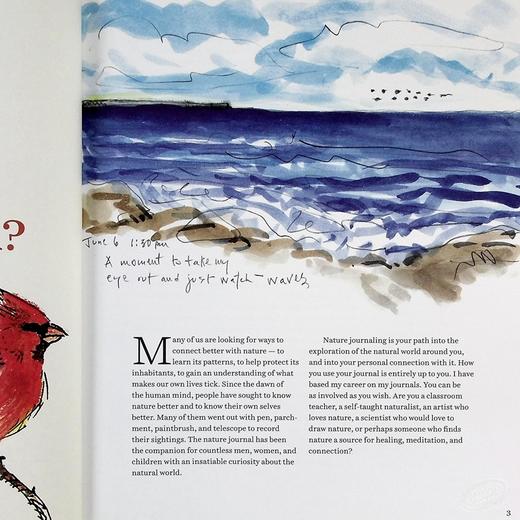 【中商原版】笔记大自然 找寻一种探索周围世界的新途径 第3版 Keeping a Nature Journal 3rd Edition 英文原版 Clare Walker Leslie 商品图5