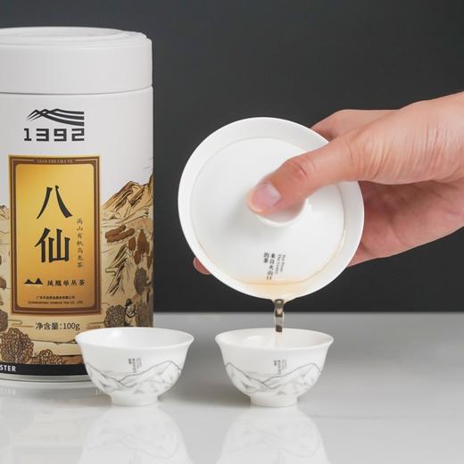天池七彩系列八仙潮州凤凰单丛茶 乌龙茶 高山单枞茶叶100g 商品图1