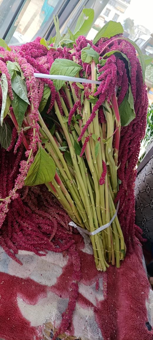 吊米红 商品图1