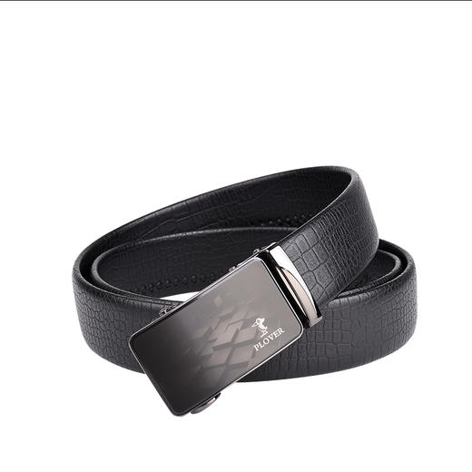 【献礼父亲节】PLOVER香港啄木鸟 高端钱包皮带套装   GD811043-2GA 商品图2