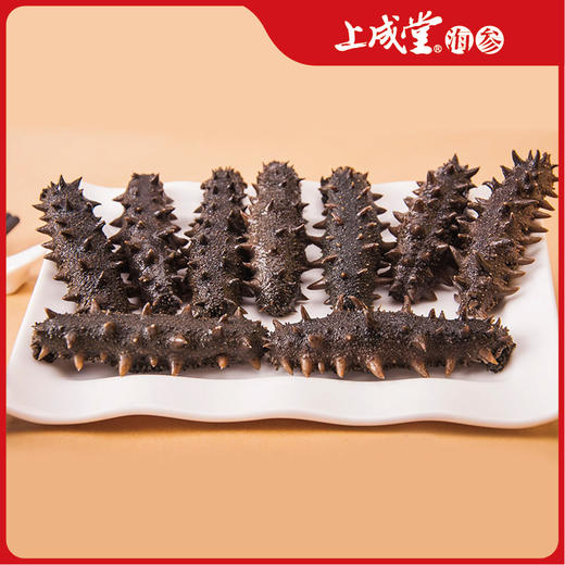 上成堂5年精品半干海参大连辽刺参500g/盒（30-35头） 商品图1