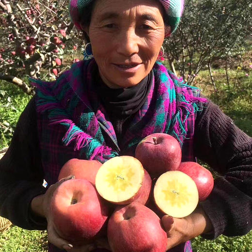 【四川·盐源】四川大凉山盐源·冰糖心丑苹果 新鲜脆甜 基地现摘 商品图3
