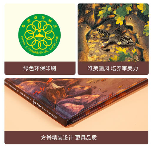 乐乐趣四季之歌系列绘本《小鸿雁的秋天》 商品图5