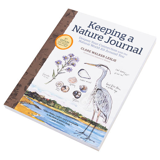 预售 【中商原版】笔记大自然 找寻一种探索周围世界的新途径 第3版 Keeping a Nature Journal 3rd Edition 英文原版 Clare Walker Leslie 商品图2