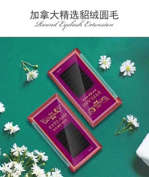 貂绒超软圆毛0.12C 商品图3