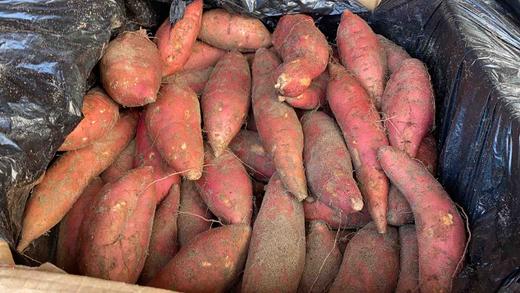 烟薯25（5斤/箱） 商品图2