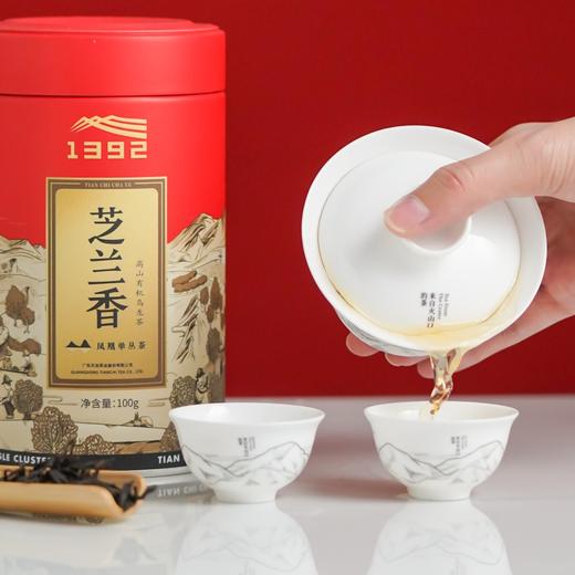 天池茶业芝兰香新品单丛茶叶凤凰高山茶乌龙茶清香型100g 商品图1