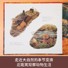 乐乐趣四季之歌系列绘本《小鸿雁的秋天》 商品缩略图1