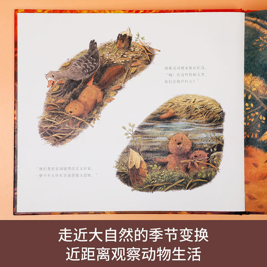 乐乐趣四季之歌系列绘本《小鸿雁的秋天》 商品图1