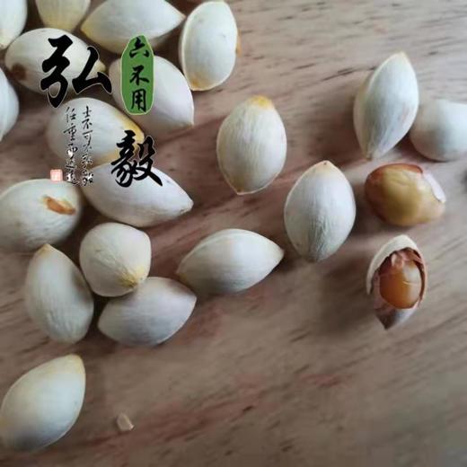 六不用 白果 银杏果(鲜) 一斤装 【弘毅六不用生态农场】 商品图0