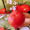 【新疆建设兵团沙瓤爆汁西红柿】约5斤/箱 12-15颗 沙瓤 爆汁 味浓 商品缩略图2