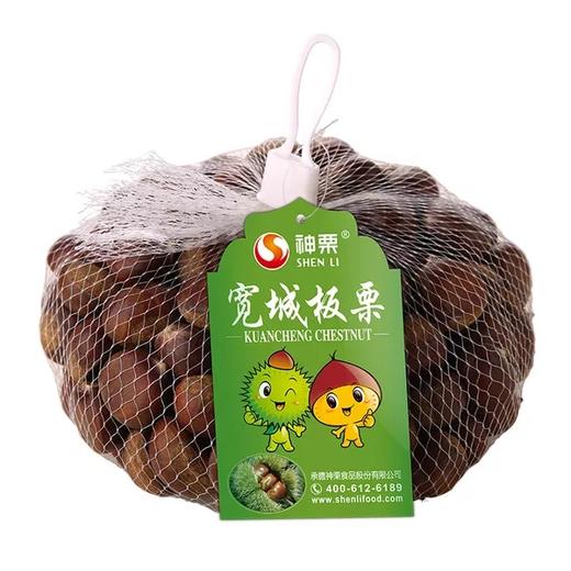 丨有机丨新鲜板栗  5斤一袋 神栗 商品图4