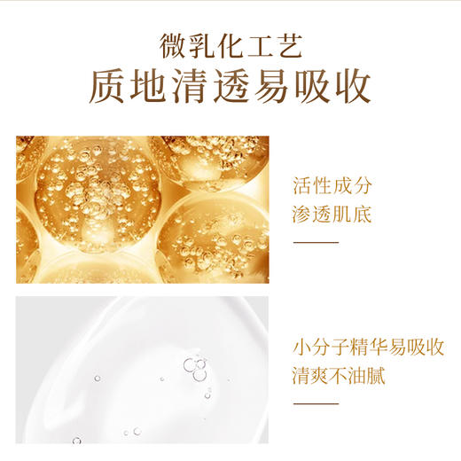 谷雨山参紧致凝时修护精华液熬夜急救改善暗沉修护紧致30ml/50ml 商品图2