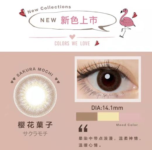 【半年抛】Flanmy 新品 榛果牛奶/枫糖蜜戚风/京都抹茶派/浪漫樱花卷 直径14.0/14.1  一片装 一副拍2 n 商品图10