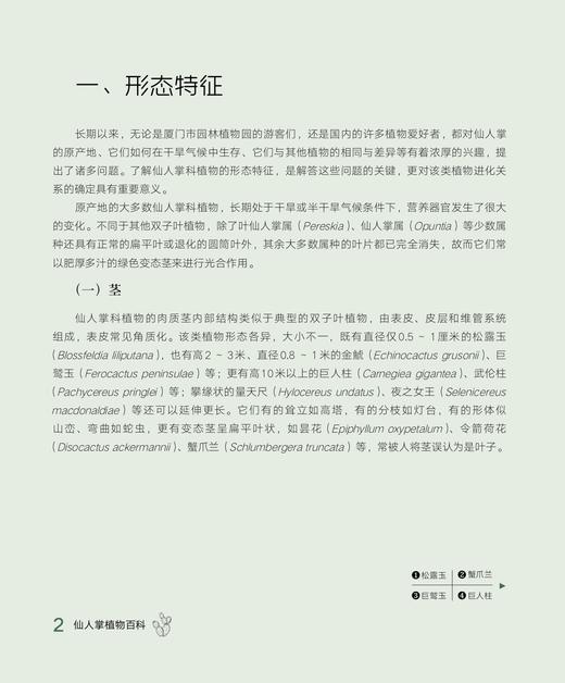 仙人掌植物百科（厦门市园林植物园建园60周年献礼之作） 商品图1