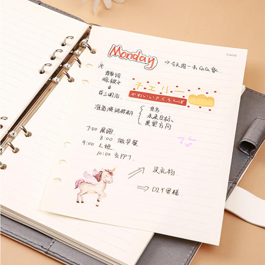 卡杰A5活页本时光与花密码本CA5H0825-8带锁日记本笔记本子小清新大学生简约 商品图4