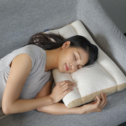 酸枣竹炭分区枕 | 选用酸枣仁作为填充物，混合新型竹炭纤维软管 商品图0