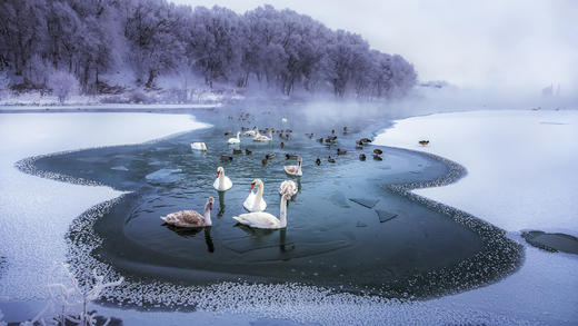 【颂•雪 新疆】冰雪新疆赛里木湖蓝冰，天鹅泉、叼羊、巩乃斯仙境行摄8天 商品图1