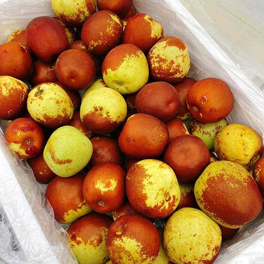 【新疆脆甜冬枣】约4斤/箱，超甜超脆 商品图4