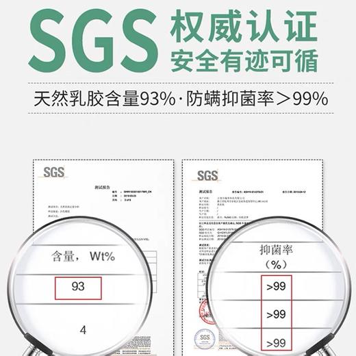 泰国优必思儿童乳胶枕头U7四季通用2-6岁（枕套随机） 商品图2