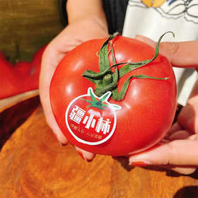 【新疆建设兵团沙瓤爆汁西红柿】约5斤/箱 12-15颗 沙瓤 爆汁 味浓