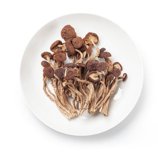 小云小君茶树菇 云南高原特色食用菌 商品图1