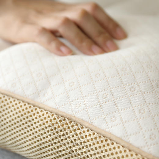 酸枣竹炭分区枕 | 选用酸枣仁作为填充物，混合新型竹炭纤维软管 商品图3