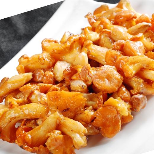 小云小君榆黄蘑 云南高原特色食用菌 商品图2