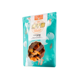 小云小君滑子菇 云南高原特色食用菌