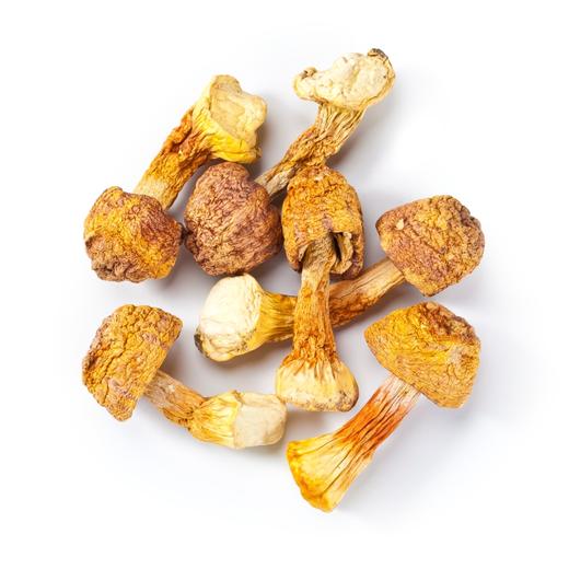 小云小君姬松茸 云南高原特色食用菌 商品图2