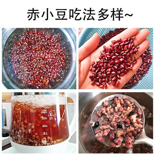 【吉顺号食品】赤小豆农家自产红豆 五谷杂粮 粗粮250g/袋 商品图3