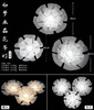 如梦水晶花吊灯（灯泡款）【运费自理】 商品缩略图3