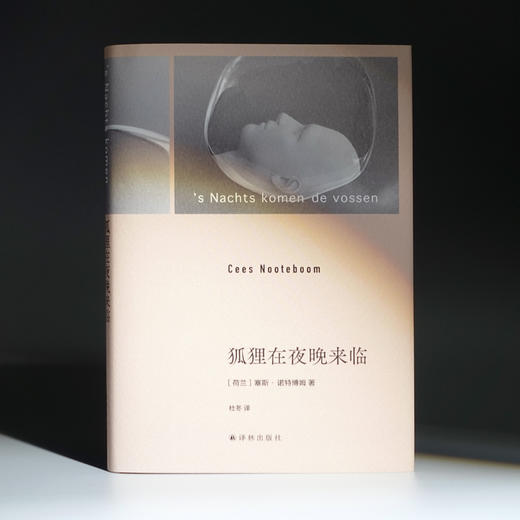 狐狸在夜晚来临 商品图8