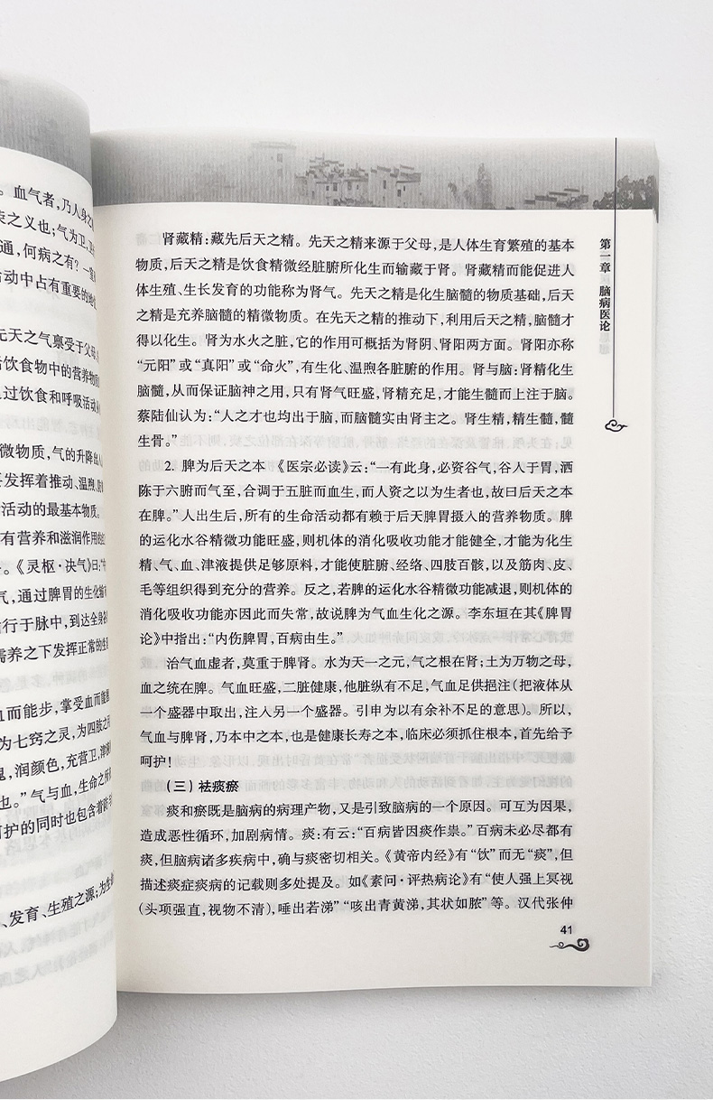 刘茂才脑病学术思想与临证经验集9787117247252_10.jpg