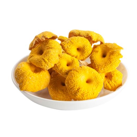 小云小君榆黄蘑 云南高原特色食用菌 商品图1