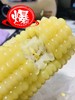 【推荐】东北黑土地糯玉米，冷冻保存 商品缩略图0