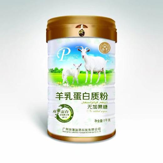SC 羊乳无加蔗糖蛋白质粉   1千克/桶   有效期20280101 商品图1
