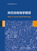 淋巴结病理学图谱 陈健 董红岩 主译 华夏病理网翻译丛书 基础医学 9787117269537 2018年9月参考书 人民卫生出版社 商品缩略图1