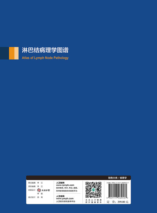 淋巴结病理学图谱 陈健 董红岩 主译 华夏病理网翻译丛书 基础医学 9787117269537 2018年9月参考书 人民卫生出版社 商品图2