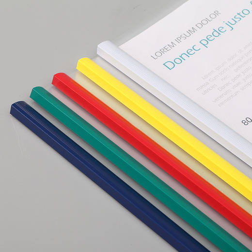 齐心 Q310-1-X 超省钱 报告夹 A4 抽杆式 30张 蓝 商品图1