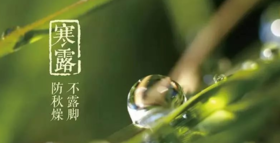  寒露到了，这时身体5个部位千万别受凉！