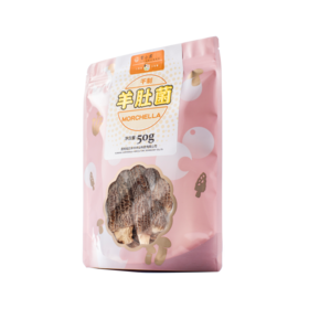 小云小君羊肚菌 云南高原特色食用菌